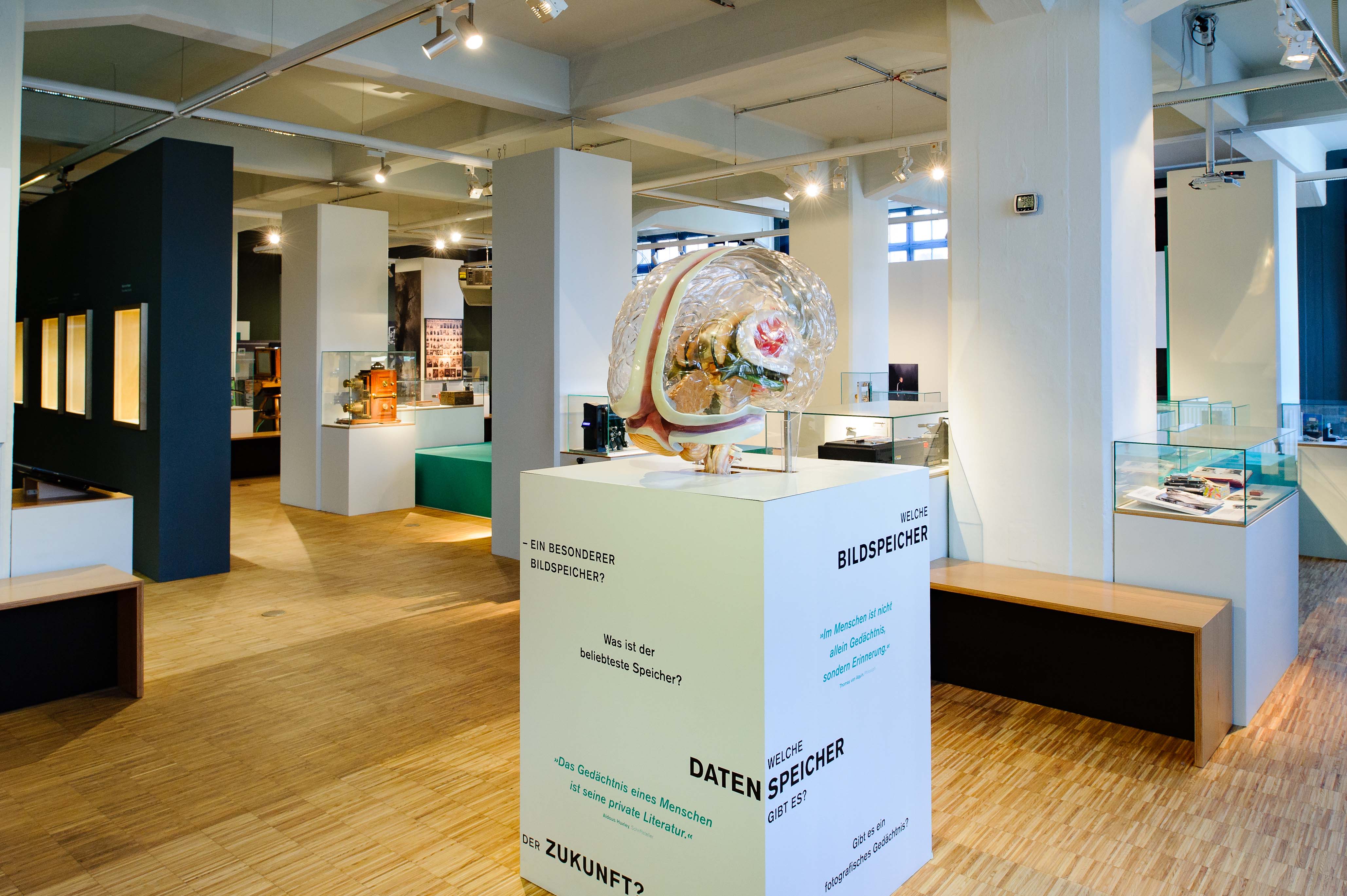 Museen Der Stadt Dresden Museen Der Stadt Dresden