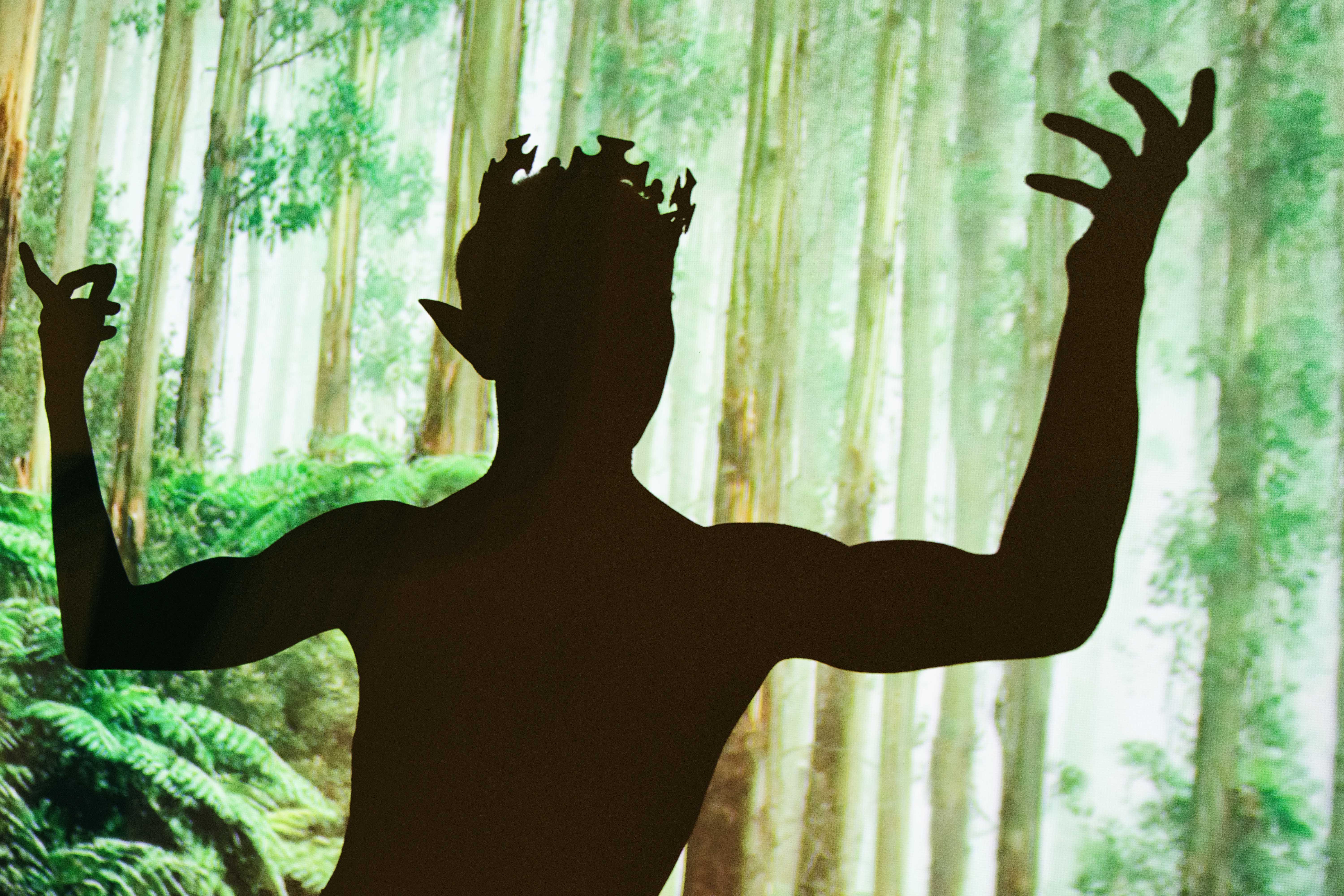 KI generiert: Das Bild zeigt die Silhouette einer mystischen Figur mit spitzen Ohren und einer krönungsartigen Struktur auf dem Kopf vor einem Hintergrund aus hohen Bäumen und dichten Farnen. Die Figur hat die Arme nach oben gestreckt, was eine dramatische Pose erzeugt.